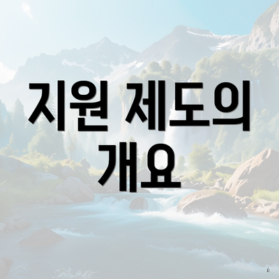 지원 제도의 개요