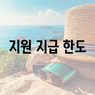 지원 지급 한도