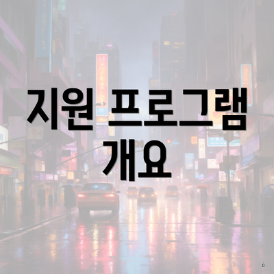 지원 프로그램 개요