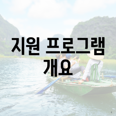 지원 프로그램 개요