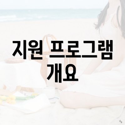 지원 프로그램 개요