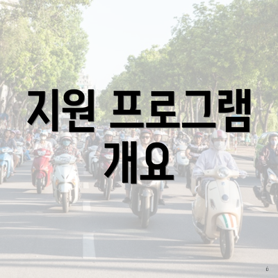 지원 프로그램 개요