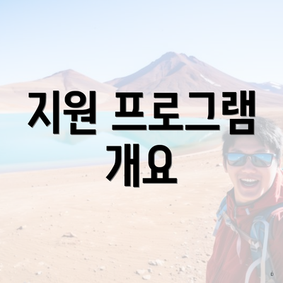 지원 프로그램 개요