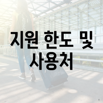 지원 한도 및 사용처