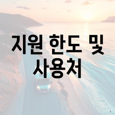 지원 한도 및 사용처