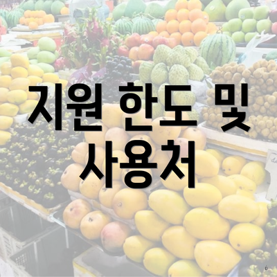 지원 한도 및 사용처