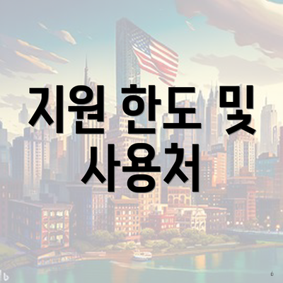 지원 한도 및 사용처