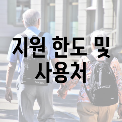 지원 한도 및 사용처