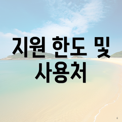 지원 한도 및 사용처