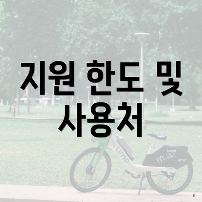 지원 한도 및 사용처