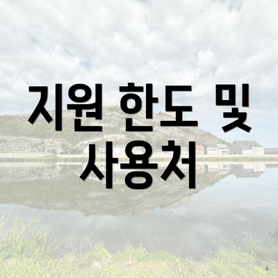 지원 한도 및 사용처