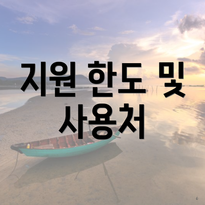 지원 한도 및 사용처