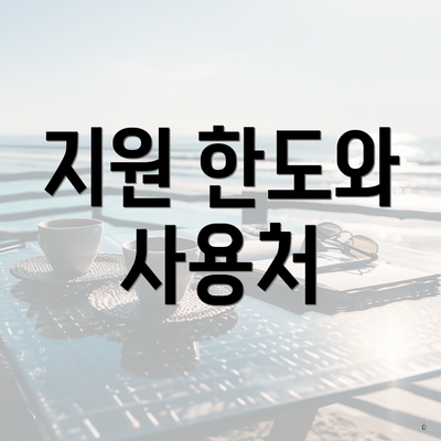 지원 한도와 사용처