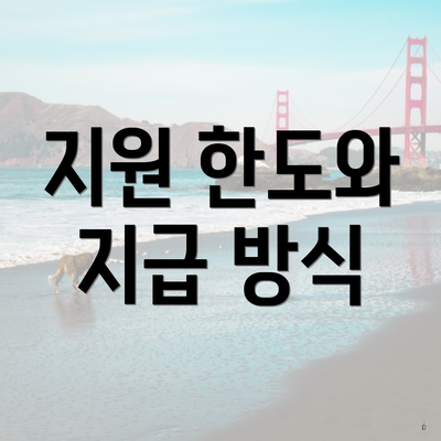 지원 한도와 지급 방식