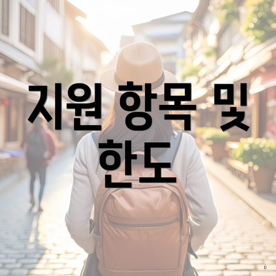 지원 항목 및 한도