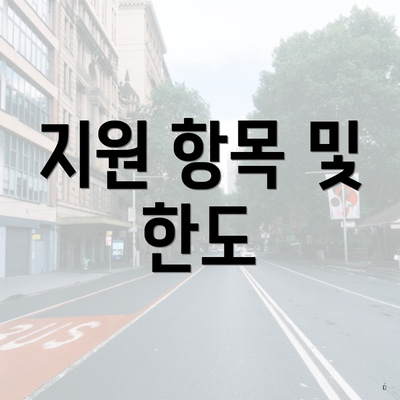 지원 항목 및 한도