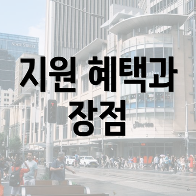 지원 혜택과 장점