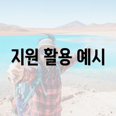 지원 활용 예시