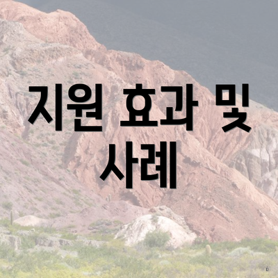 지원 효과 및 사례