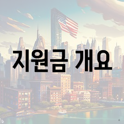 지원금 개요