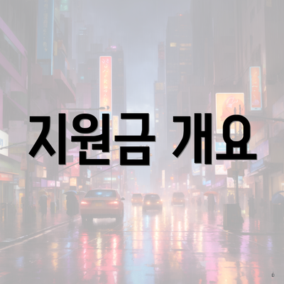 지원금 개요