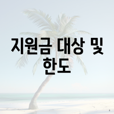 지원금 대상 및 한도