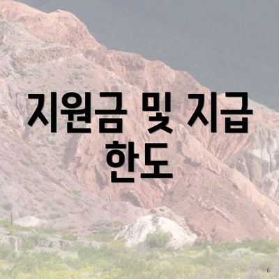 지원금 및 지급 한도