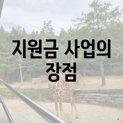 지원금 사업의 장점