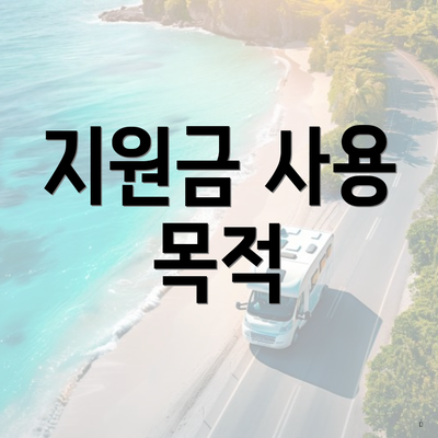 지원금 사용 목적