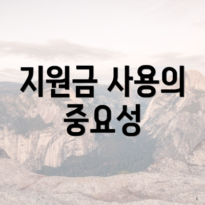지원금 사용의 중요성