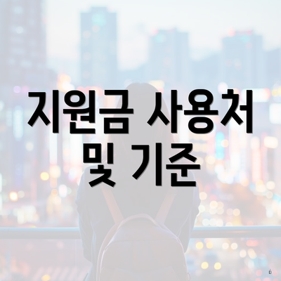 지원금 사용처 및 기준