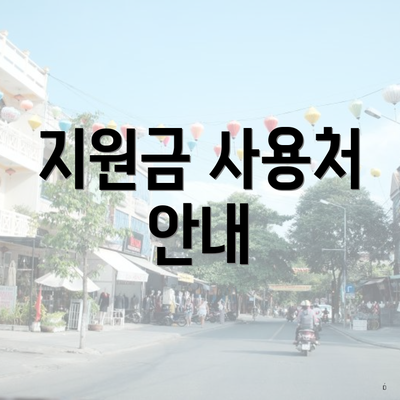 지원금 사용처 안내