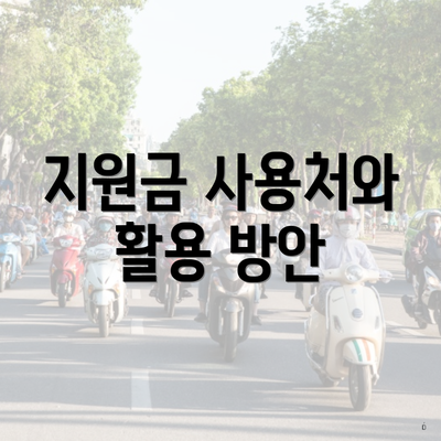 지원금 사용처와 활용 방안