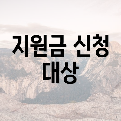 지원금 신청 대상