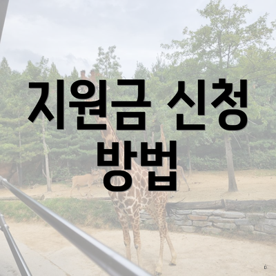 지원금 신청 방법