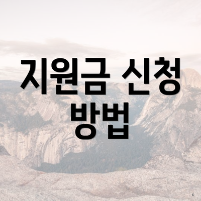 지원금 신청 방법