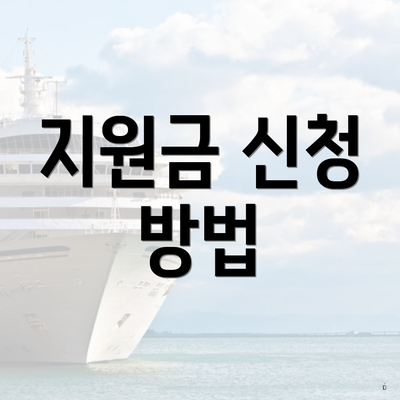 지원금 신청 방법