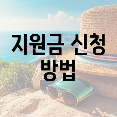 지원금 신청 방법