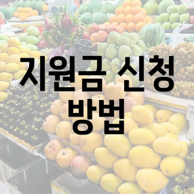 지원금 신청 방법