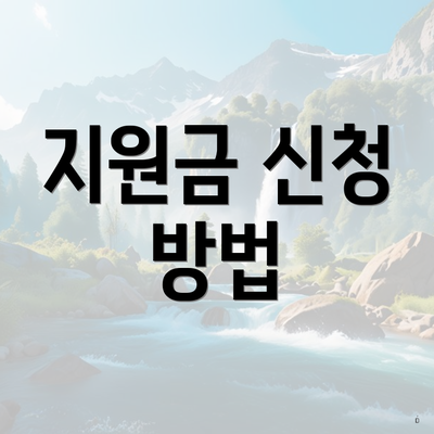 지원금 신청 방법