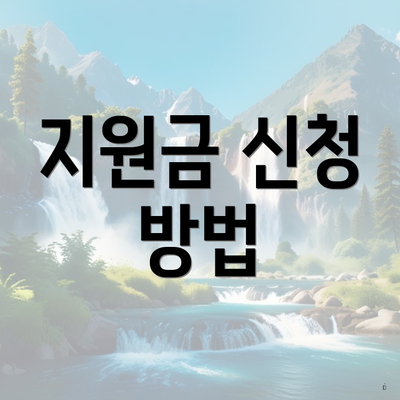 지원금 신청 방법