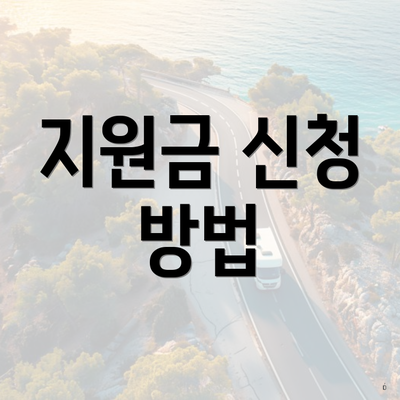 지원금 신청 방법