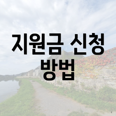 지원금 신청 방법