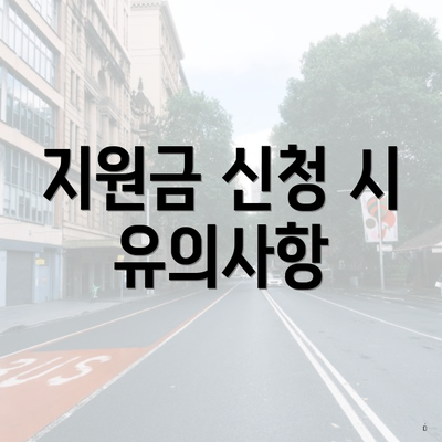 지원금 신청 시 유의사항