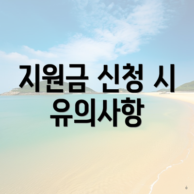 지원금 신청 시 유의사항