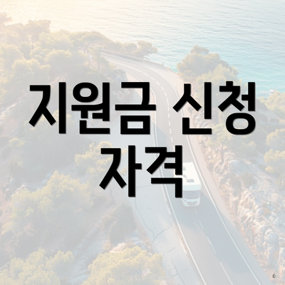 지원금 신청 자격