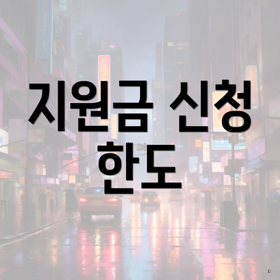 지원금 신청 한도