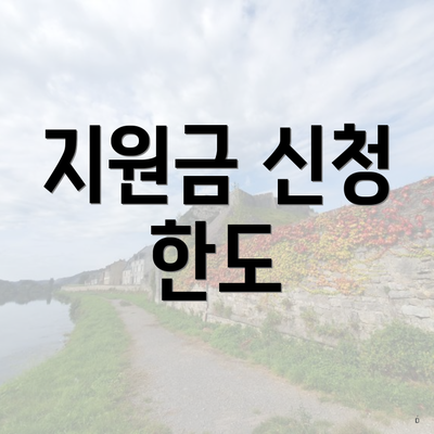 지원금 신청 한도