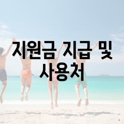 지원금 지급 및 사용처