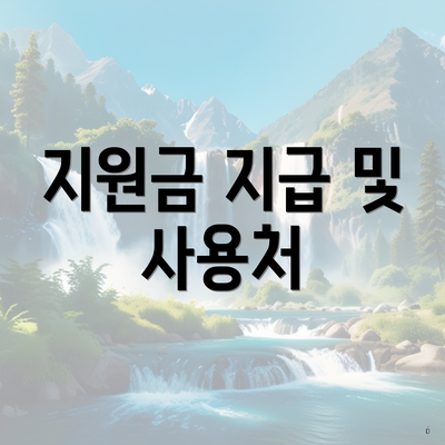 지원금 지급 및 사용처